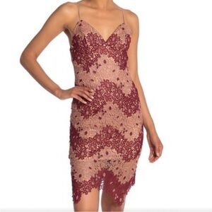 Bardot Burgundy and Nude Lace Dress